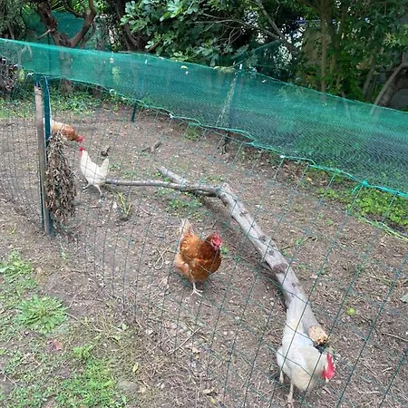 Carcazen B&B *